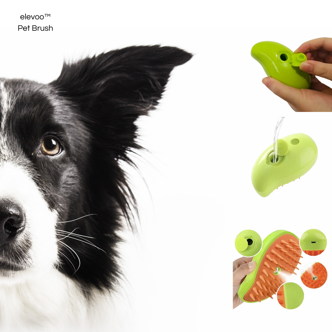 elevoo™ Pet Brush 