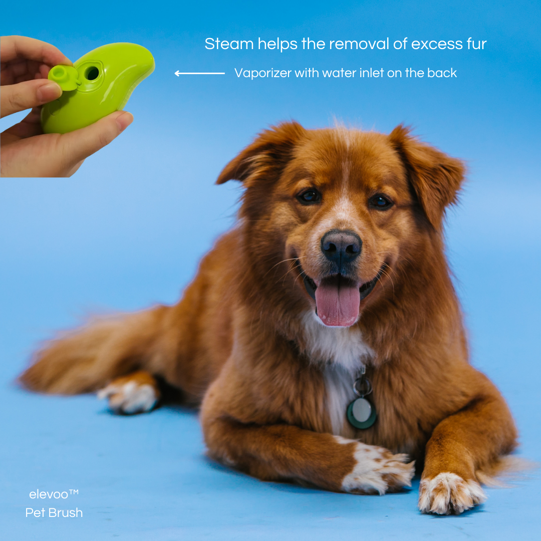 elevoo™ Pet Brush 